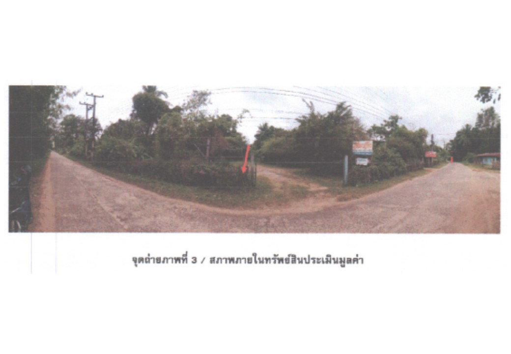 รูป ที่ดิน 212.5 ตร.วา เดชอุดม อุบลราชธานี 471,000 - รูปที่ 3/3