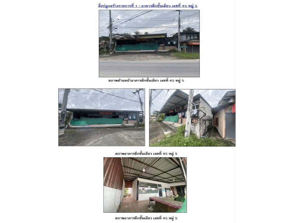 รูป ที่ดินพร้อมสิ่งปลูกสร้าง 156 ตร.วา สามพาด บ้านแท่น ชัยภูมิ 1.5M - รูปที่ 3/4