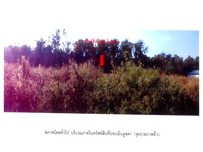 ที่ดิน ภูซาง พะเยา : ที่ดิน 486 ตร.วา ภูซาง พะเยา 938,000