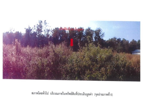 ที่ดิน 486 ตร.วา ภูซาง พะเยา 938,000