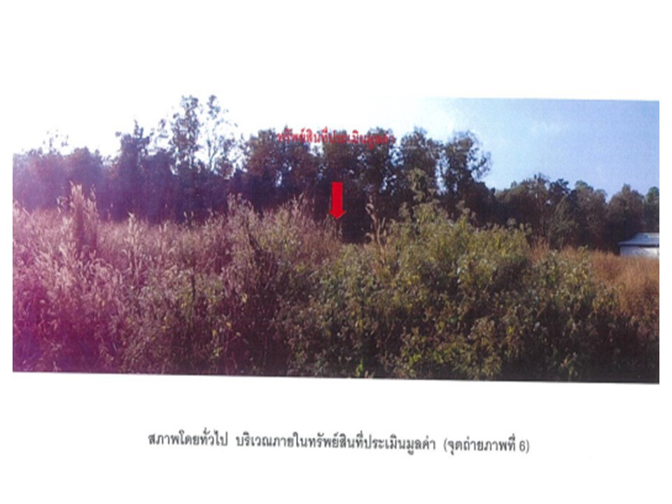 รูป ที่ดิน 486 ตร.วา ภูซาง พะเยา 938,000 - รูปที่ 1/4
