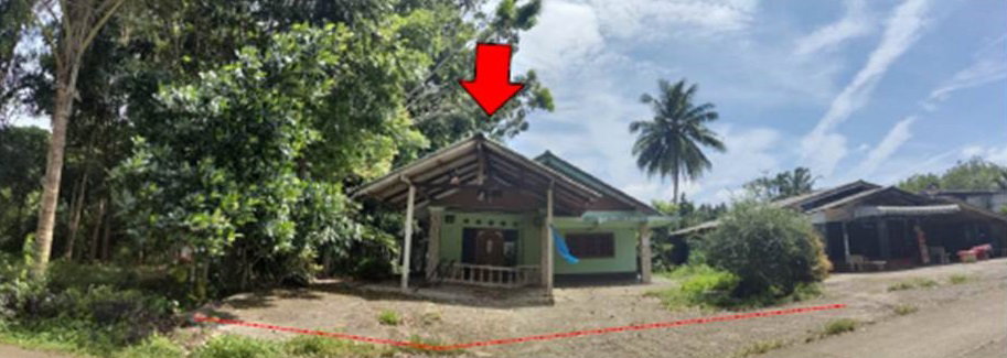 รูป ที่ดินพร้อมสิ่งปลูกสร้าง 101 ตร.วา สวี ชุมพร 819,000 - รูปที่ 1/4