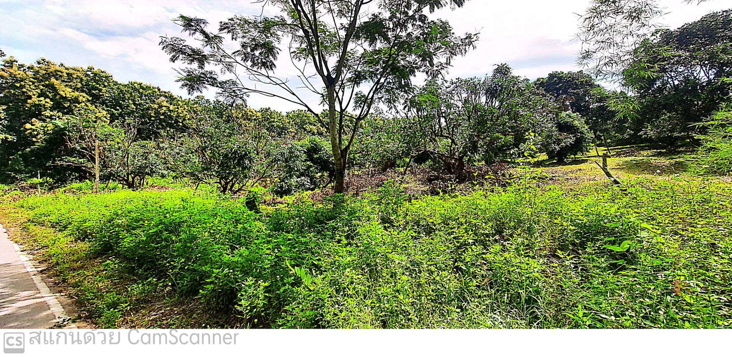 รูป ที่ดิน 7741.9 ตร.วา พร้าว เชียงใหม่ 3.8M - รูปที่ 4/6