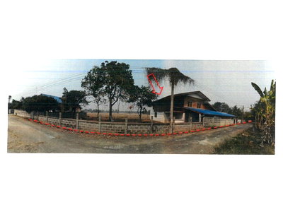 Houses for sale Lamphang : HOME 303 Sq.w. Thoen Lamphang for 770,000