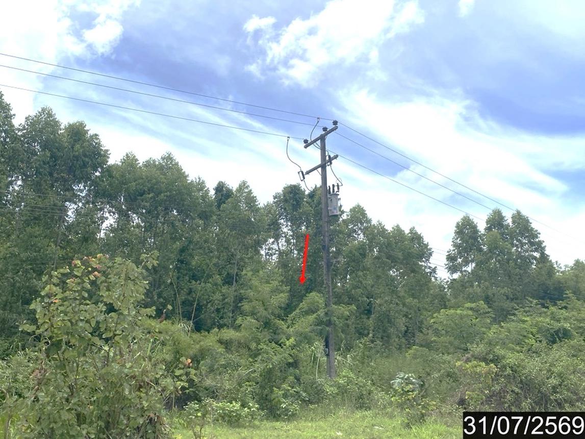 picture LAND 5726 Sq.w. Suwan Khuha Nong Bua Lam Phu for 2.6M - 10/15