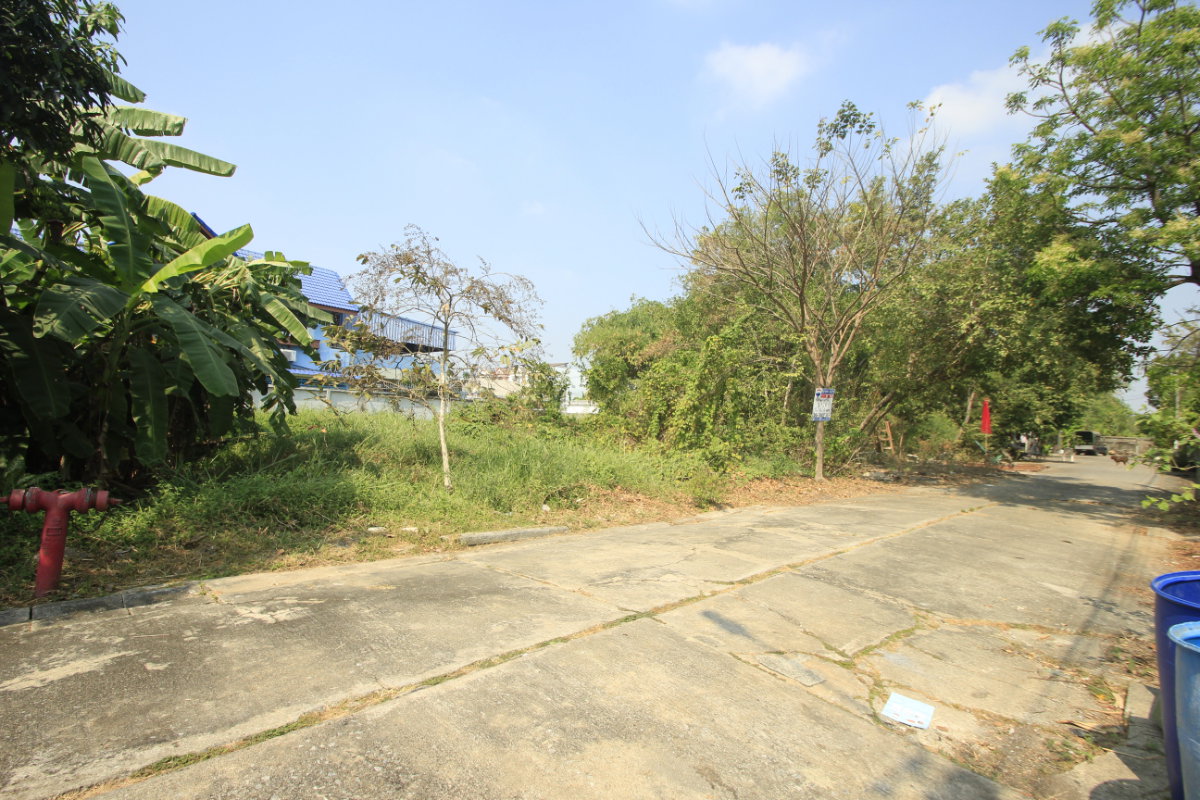รูป ที่ดินบรมราชชนนี62 อัศวพิเชษฐ์12,14,16,18 สวนผัก43 หมู่บ้านทิมเรืองเวช 132ตารางวา เหมาะสร้างบ้าน สำนักงาน เดินทางสะดวก ตรงข้ามสายใต้ใหม่ ใกล้ราชพฤกษ์ - รูปที่ 19/31