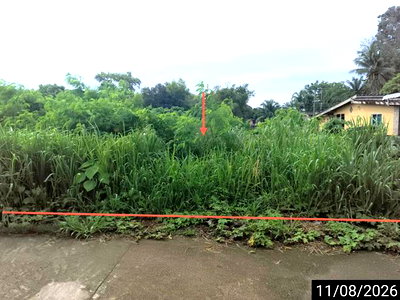 ที่ดิน ชุมพร : ที่ดินว่างเปล่า 124.6 ตร.วา เมืองชุมพร ชุมพร 873,000