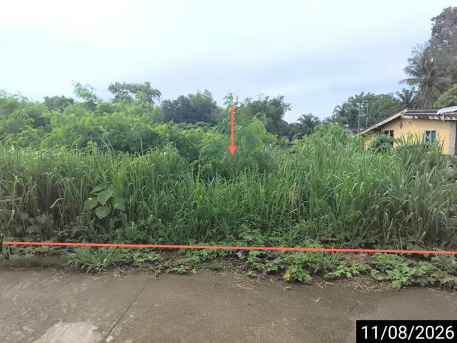picture LAND 124.6 Sq.w. Muang Chumphon Chumphon for 873,000 - 1/15