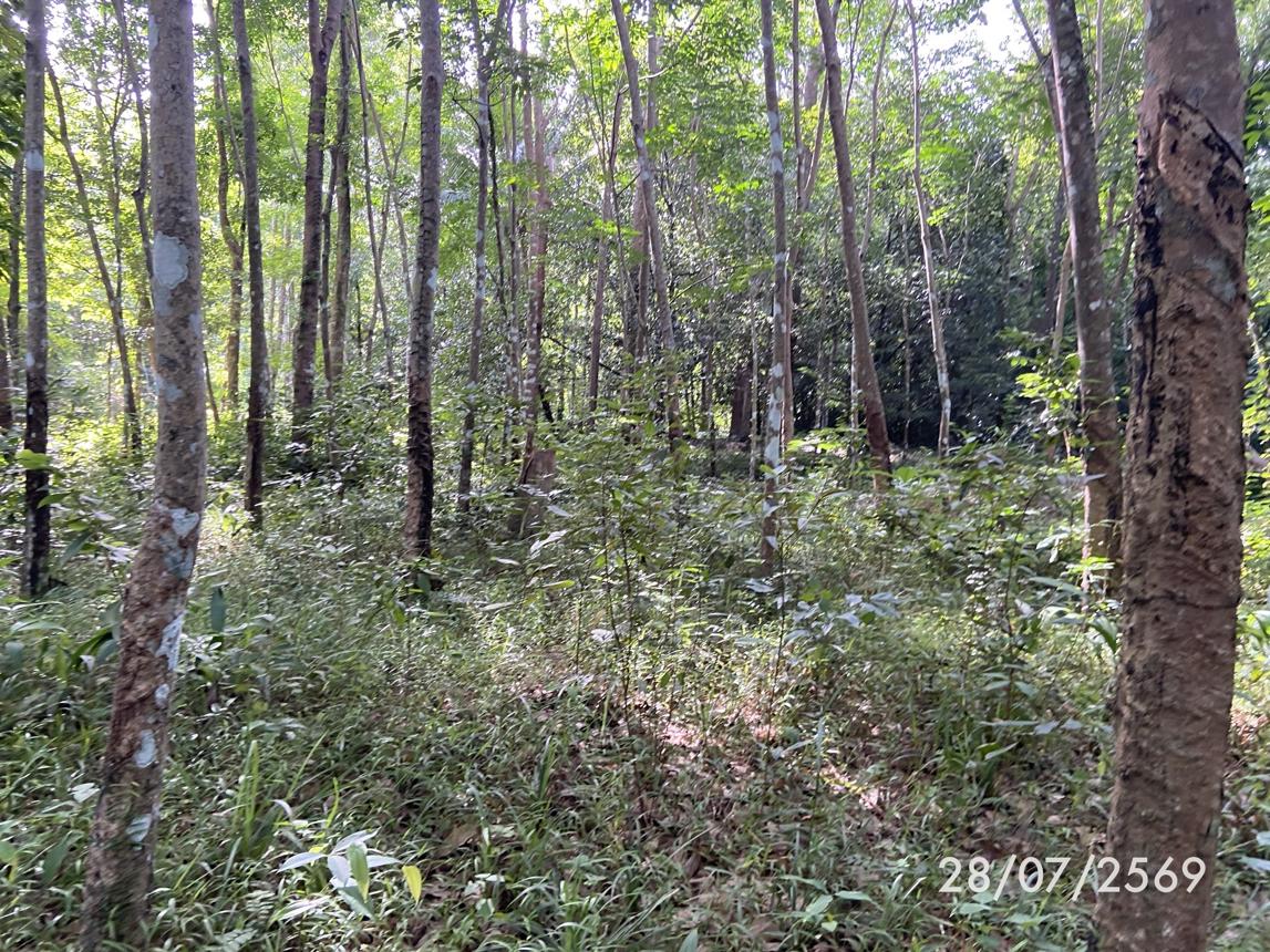 รูป ที่ดินว่างเปล่า 285 ตร.วา เมืองสงขลา สงขลา 1.1M - รูปที่ 20/27