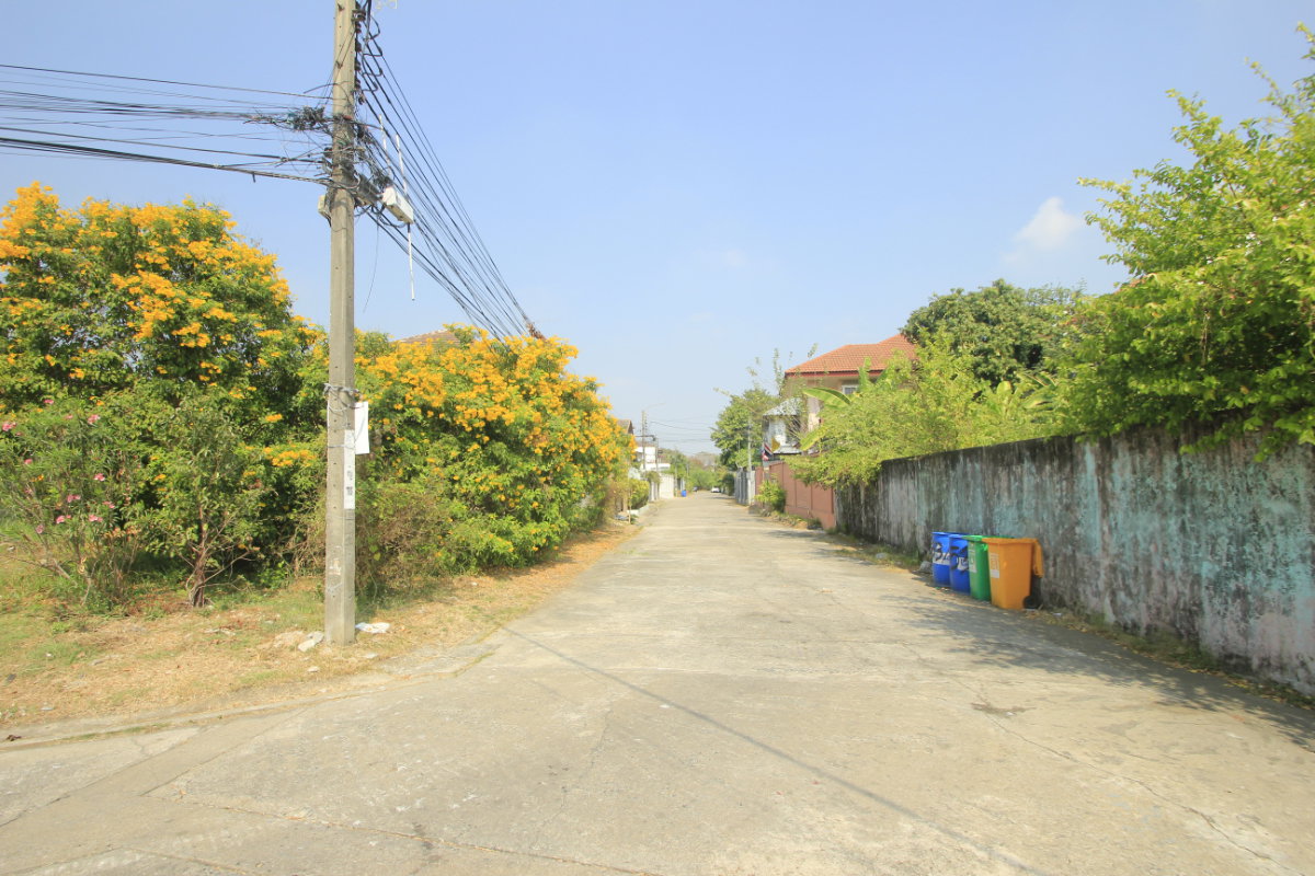รูป ที่ดินบรมราชชนนี62 อัศวพิเชษฐ์12,14,16,18 สวนผัก43 หมู่บ้านทิมเรืองเวช 132ตารางวา เหมาะสร้างบ้าน สำนักงาน เดินทางสะดวก ตรงข้ามสายใต้ใหม่ ใกล้ราชพฤกษ์ - รูปที่ 21/31