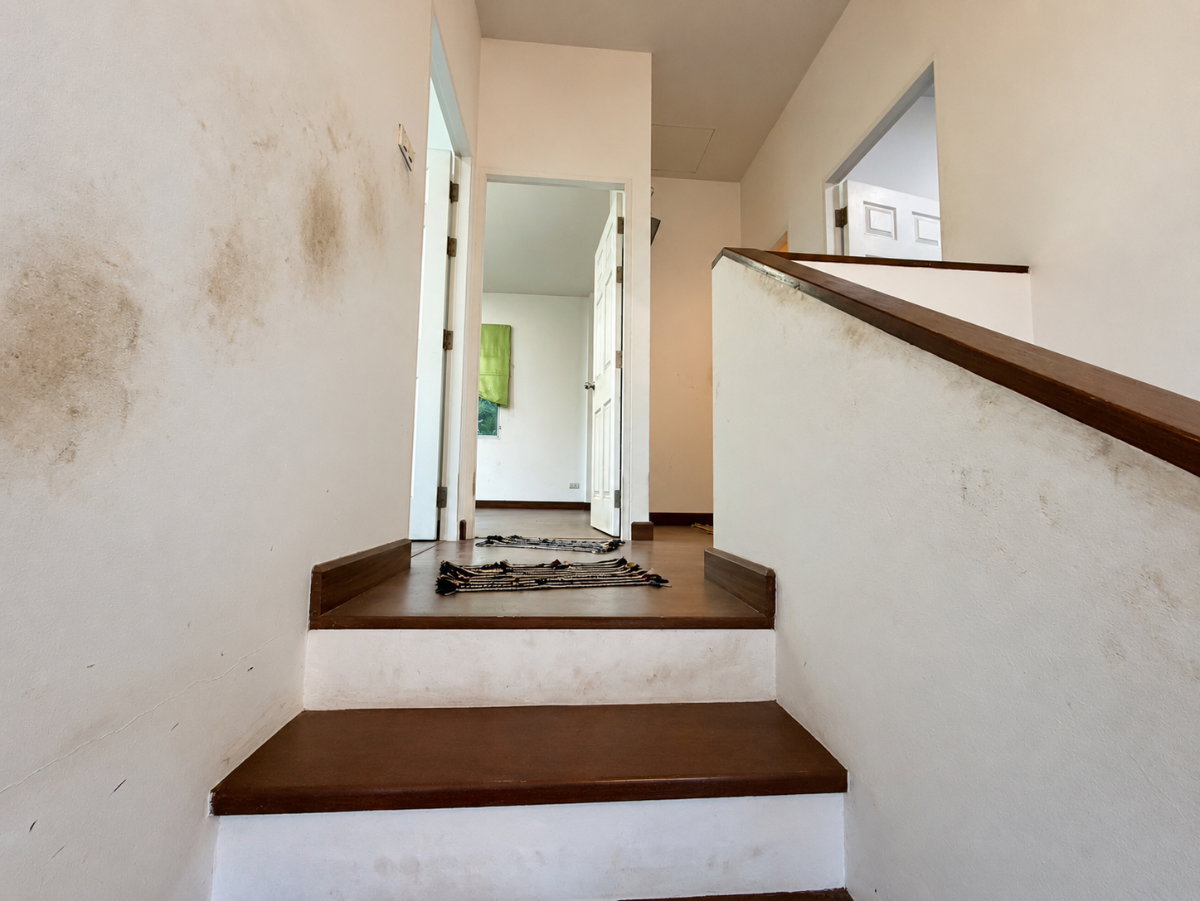 รูป 🏡 บ้านเดี่ยว 2 ชั้น 3 ห้องนอน บนที่ดิน 54.1 ตร.ว. ✨🏡 หมู่บ้านปภาวรินท์ เดอะ เซเว่น - รูปที่ 7/23