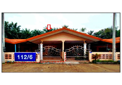 Townhouses for sale Nakhon Ratchasima : TOWN HOUSE 24 Sq.w. Prasaeng Surat Thani for 820,000
