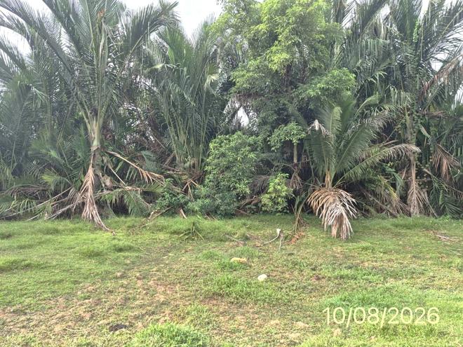 picture HOME 1413 Sq.w. Cha-uat Nakhon Sri Thammarat for 3.8M - 22/49