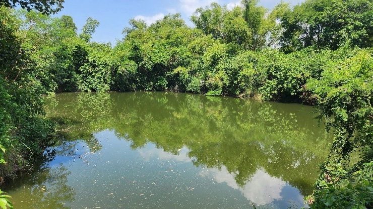 รูป ที่ดินพร้อมสิ่งปลูกสร้าง บรรยากาศธรรมชาติ น่าอยู่ เหมาะกับการใช้ชีวิต ทำรีสอร์ทบ้านพักได้ - รูปที่ 10/10