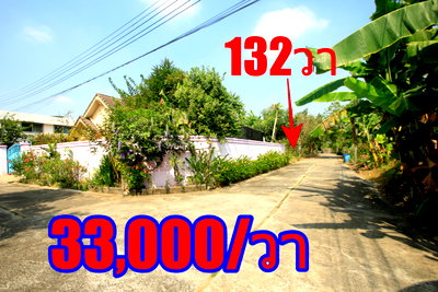 ที่ดิน กรุงเทพมหานคร : ที่ดินบรมราชชนนี62 อัศวพิเชษฐ์12,14,16,18 สวนผัก43 หมู่บ้านทิมเรืองเวช 132ตารางวา เหมาะสร้างบ้าน สำนักงาน เดินทางสะดวก ตรงข้ามสายใต้ใหม่ ใกล้ราชพฤกษ์