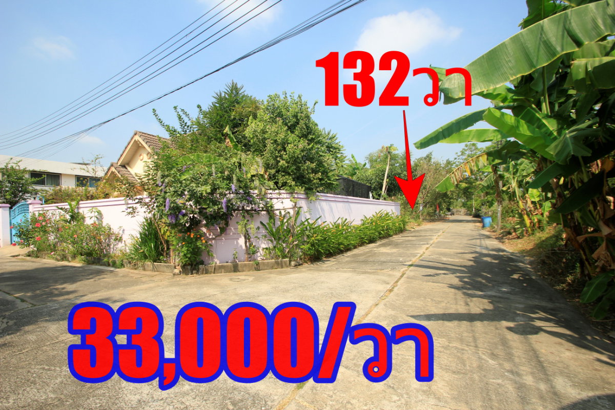 รูป ที่ดินบรมราชชนนี62 อัศวพิเชษฐ์12,14,16,18 สวนผัก43 หมู่บ้านทิมเรืองเวช 132ตารางวา เหมาะสร้างบ้าน สำนักงาน เดินทางสะดวก ตรงข้ามสายใต้ใหม่ ใกล้ราชพฤกษ์ - รูปที่ 1/31