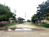 listing thumbnail image 41