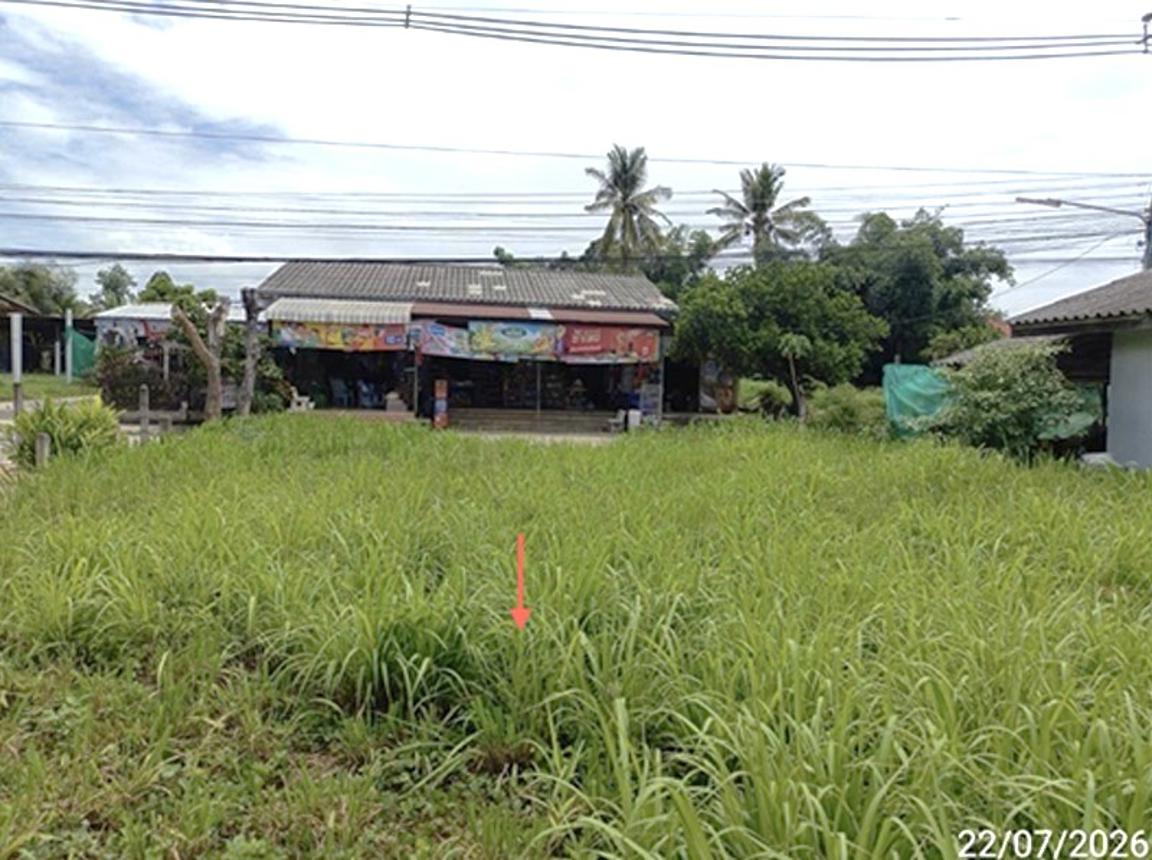 รูป ที่ดินว่างเปล่า 75 ตร.วา ธวัชบุรี ร้อยเอ็ด 428,000 - รูปที่ 15/19
