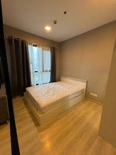รูปภาพ C6903 For Rent  :  Condo  Condolette Midst Rama 9 ( MRT Ram 9 ) 064 665 4666