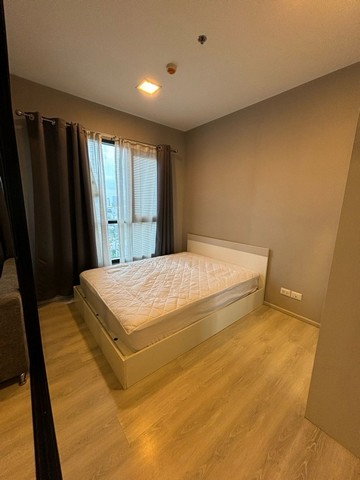 picture C6903 For Rent  :  Condo  Condolette Midst Rama 9 ( MRT Ram 9 ) 064 665 4666 - 1/14