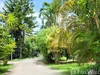 listing thumbnail image 21