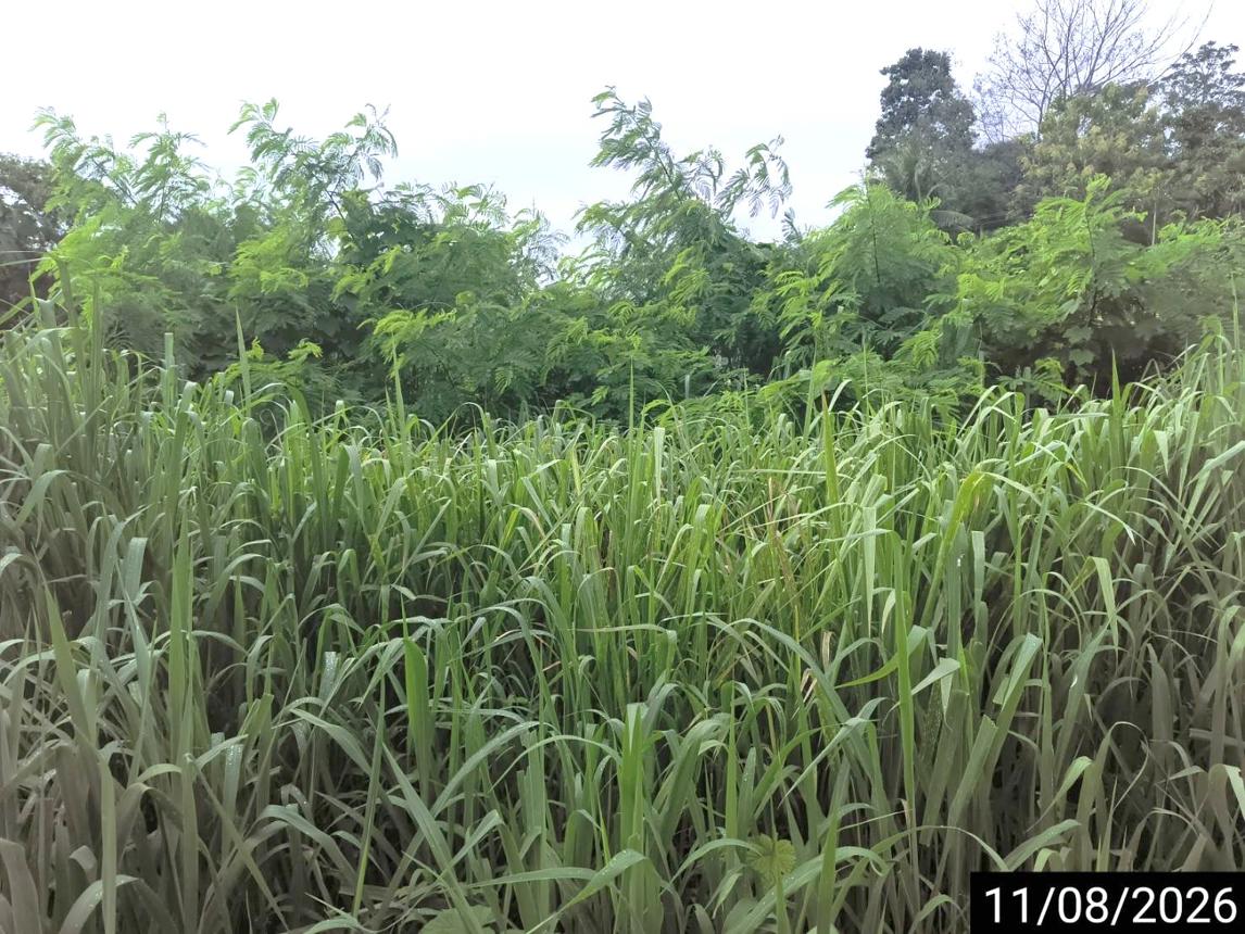 picture LAND 124.6 Sq.w. Muang Chumphon Chumphon for 873,000 - 11/15