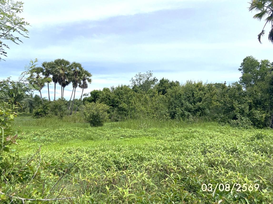 รูป ที่ดินว่างเปล่า 99.9 ตร.วา เมืองสงขลา สงขลา 450,000 - รูปที่ 16/23