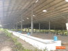 listing thumbnail image 28