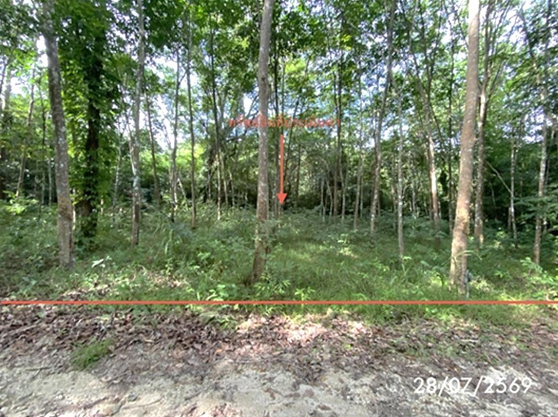 รูป ที่ดินว่างเปล่า 285 ตร.วา เมืองสงขลา สงขลา 1.1M - รูปที่ 13/27