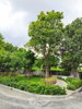 listing thumbnail image 18