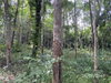 listing thumbnail image 17