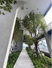 listing thumbnail image 9