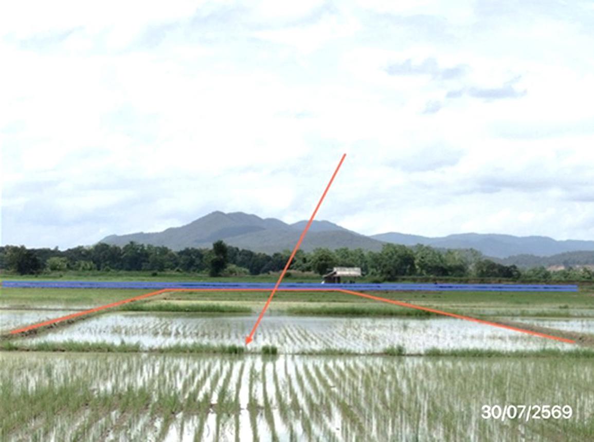 picture LAND 1544 Sq.w. Phan Chiang Rai for 1.5M - 12/17