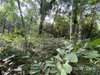 listing thumbnail image 22
