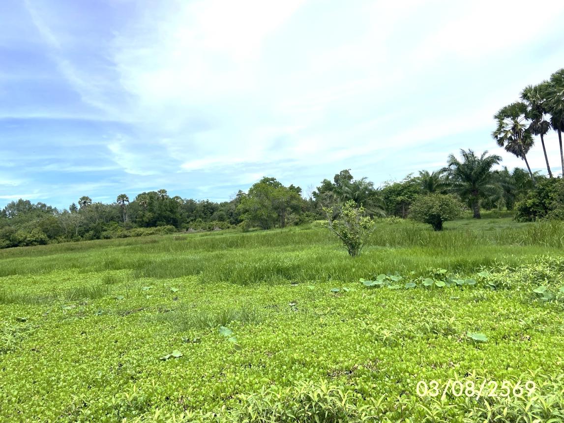 รูป ที่ดินว่างเปล่า 99.9 ตร.วา เมืองสงขลา สงขลา 450,000 - รูปที่ 19/23