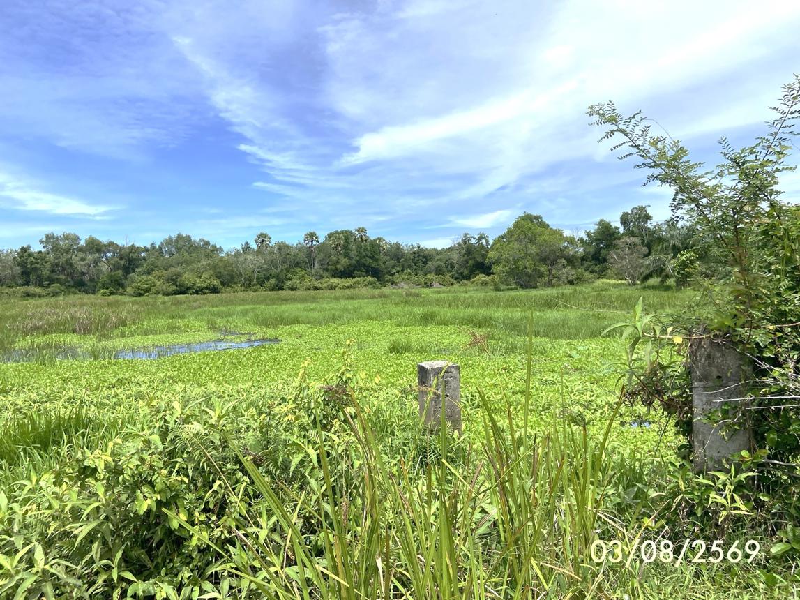 รูป ที่ดินว่างเปล่า 99.9 ตร.วา เมืองสงขลา สงขลา 450,000 - รูปที่ 17/23