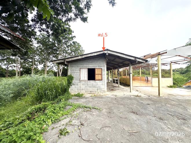 รูป บ้านเดี่ยว 11470 ตร.วา สอยดาว จันทบุรี 10M - รูปที่ 12/45