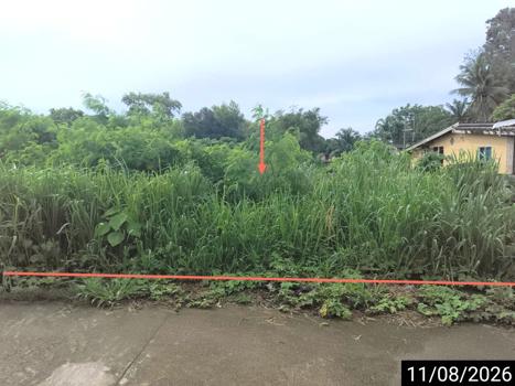 picture LAND 124.6 Sq.w. Muang Chumphon Chumphon for 873,000 - 12/15