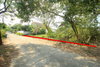 listing thumbnail image 16