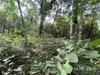 listing thumbnail image 11