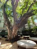 listing thumbnail image 29