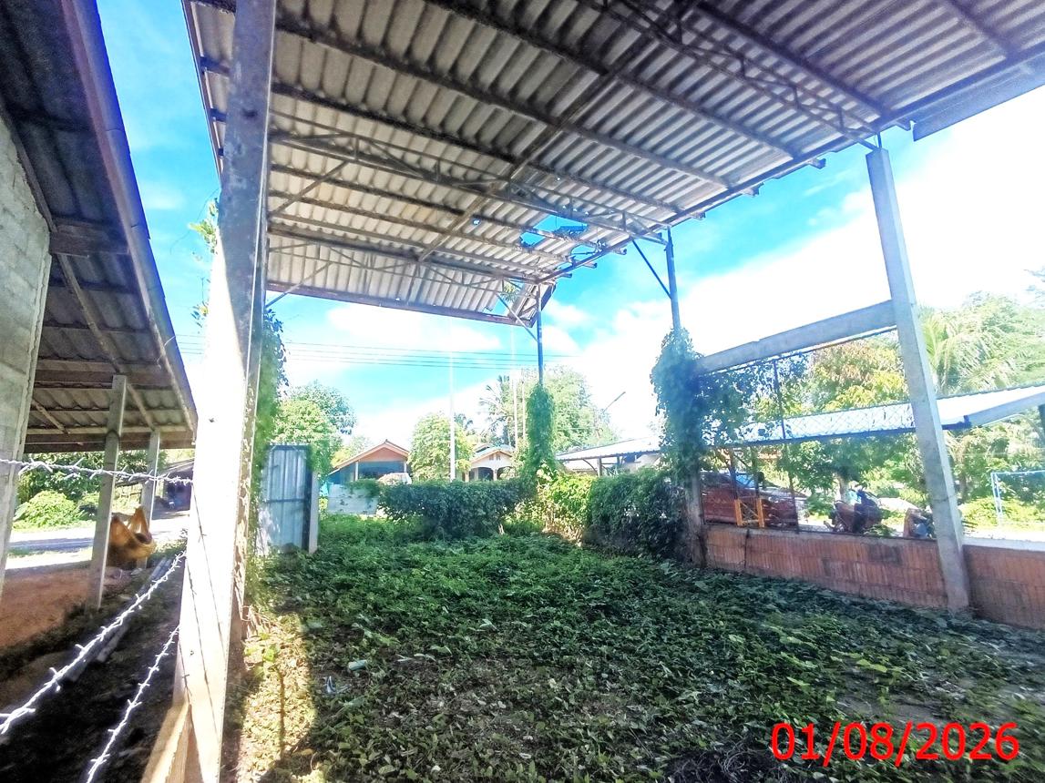 รูป เพิงอเนกประสงค์ 59 ตร.วา ละงู สตูล 472,000 - รูปที่ 12/17