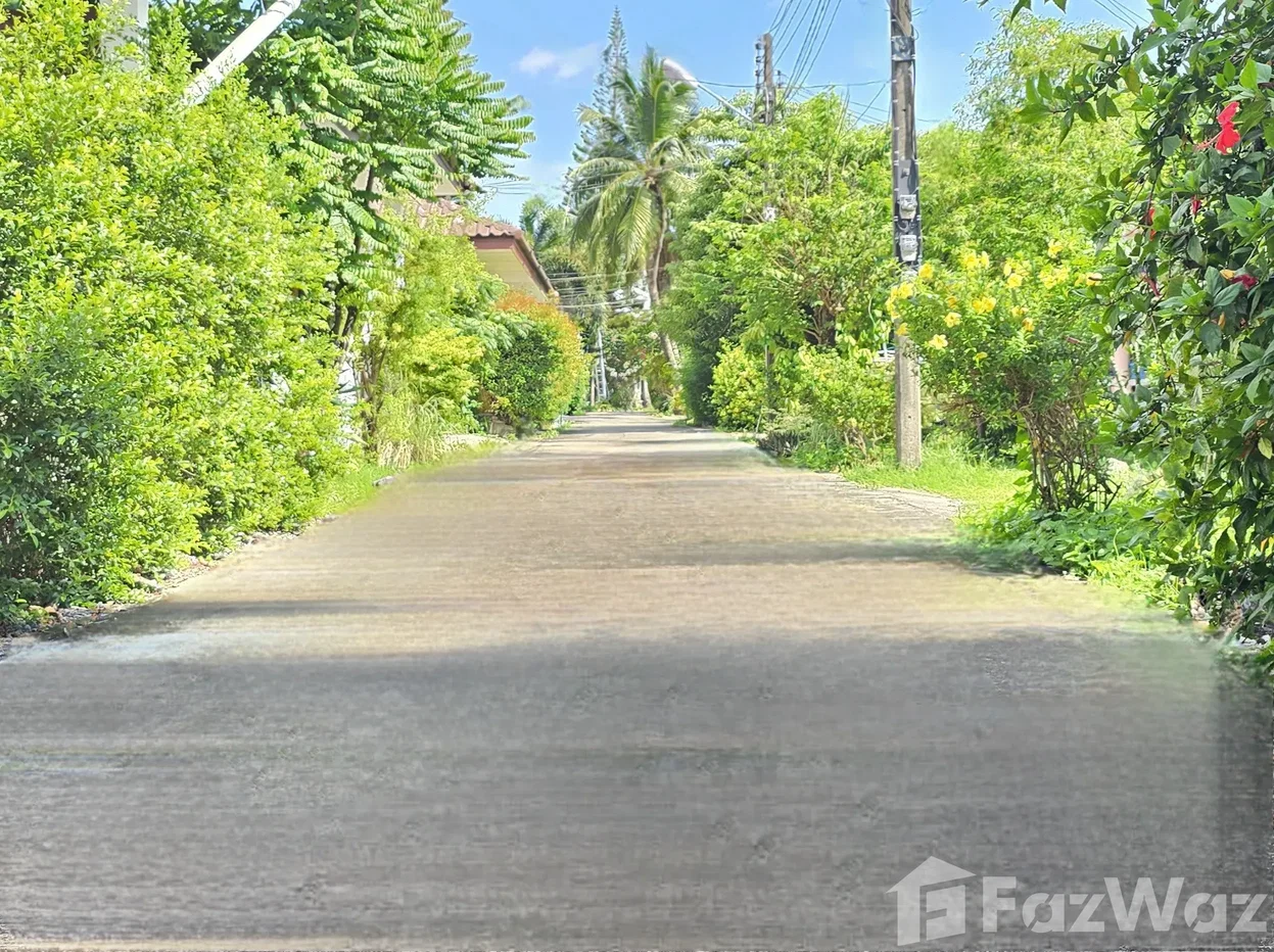 รูป บ้านเดี่ยวให้เช่า 2 ห้องนอน ใน ป่าตอง, ภูเก็ต 6796552 - รูปที่ 24/26