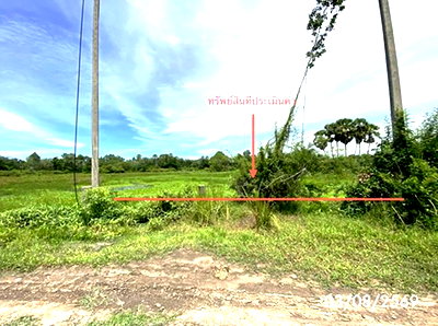ที่ดิน สงขลา : ที่ดินว่างเปล่า 99.9 ตร.วา เมืองสงขลา สงขลา 450,000