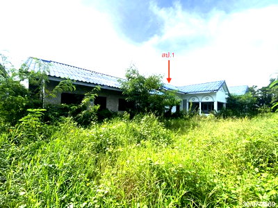 Houses for sale Thaksin University : HOME 574.5 Sq.w. Muang Songkhla Songkhla for 8.8M