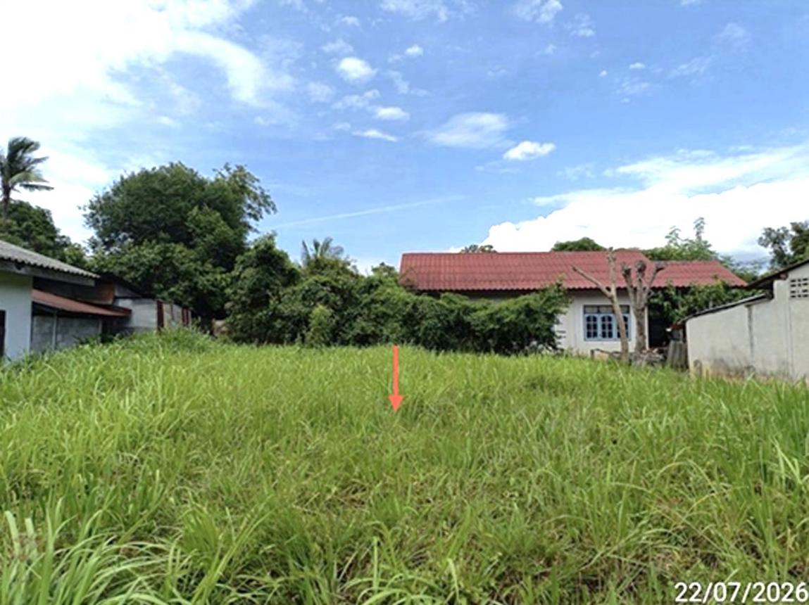 รูป ที่ดินว่างเปล่า 75 ตร.วา ธวัชบุรี ร้อยเอ็ด 428,000 - รูปที่ 14/19