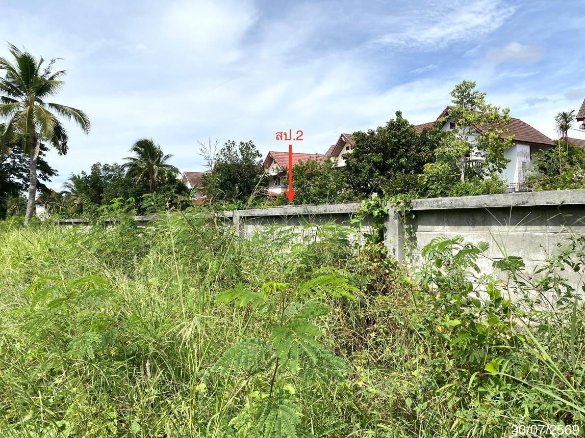 picture HOME 574.5 Sq.w. Muang Songkhla Songkhla for 8.8M - 44/49