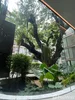 listing thumbnail image 31