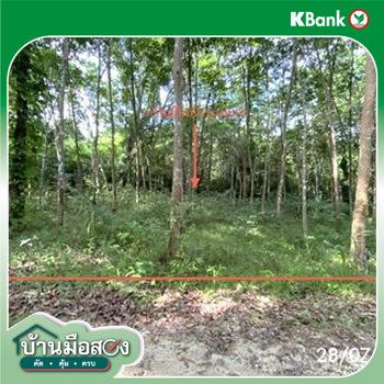 รูป ที่ดินว่างเปล่า 285 ตร.วา เมืองสงขลา สงขลา 1.1M - รูปที่ 25/27