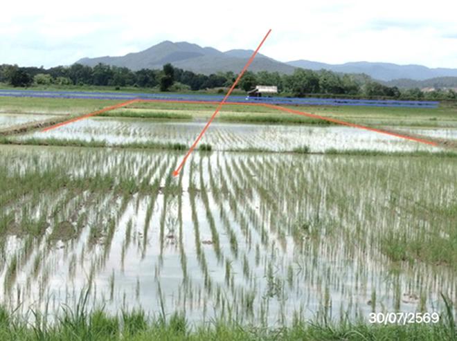 picture LAND 1544 Sq.w. Phan Chiang Rai for 1.5M - 7/17
